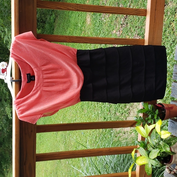 Enfocus petite dress - Picture 1 of 6